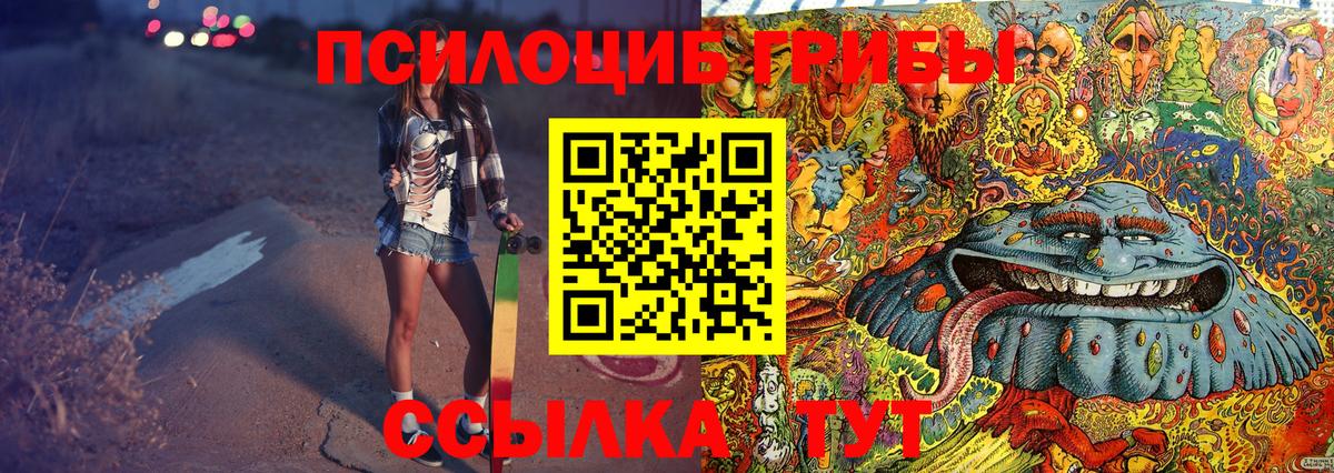 Псилоцибиновые грибы GOLDEN TEACHER  цена наркотик  Волжск  Вход с VPN 